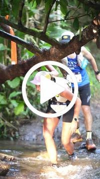 BIB:  <button type="button" onclick="openModal(27808617)" class="btn btn-primary btn-sm float-right" data-toggle="modal" data-target=".modal-high-quality">
                <i class="fa fa-download"></i> Download
                </button>